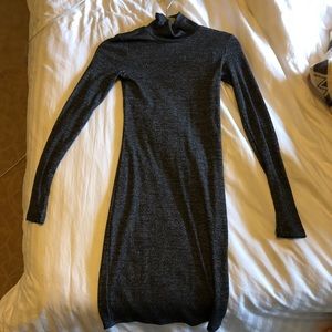 Aritzia Wilfred Free Turtleneck Dress